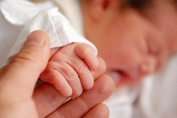 Image showing A neonate and its hand