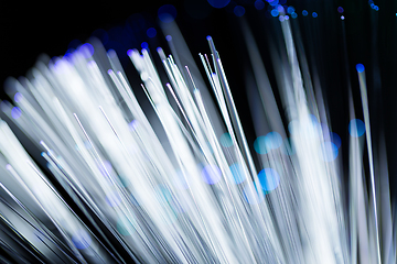 Image showing Optical fiber