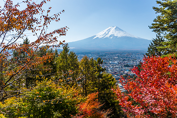 Image showing Red maple tree and mountain Fuji