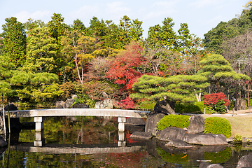 Image showing Japanese garden