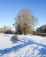 Image showing Winter park