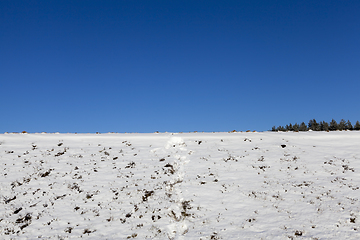 Image showing Snow in winter