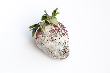 Image showing mold on a strawberry