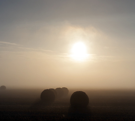 Image showing bales of wheat straw