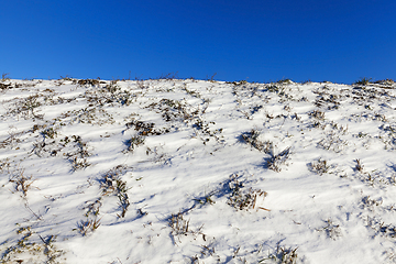 Image showing snow winter