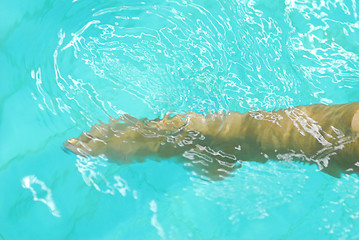 Image showing Legs in the water