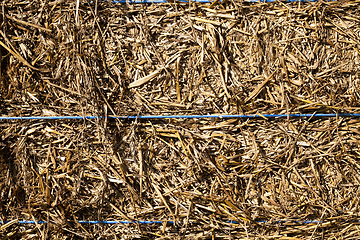 Image showing rope straw rye