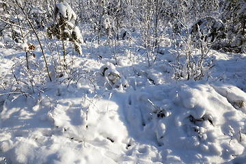 Image showing Snow drifts in winter