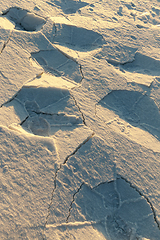 Image showing Cracks on the crust of snow