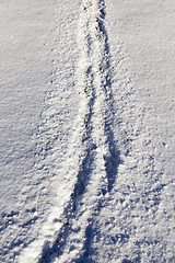 Image showing tracks in the snow