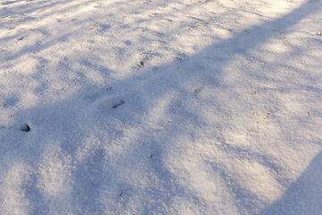 Image showing Shadows in the snow