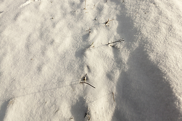 Image showing snow covered field