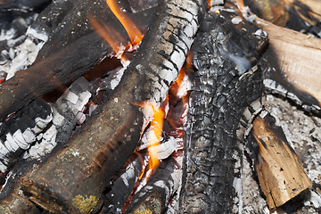 Image showing burning firewood in fire