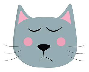 Image showing Face of a sleeping cat vector or color illustration