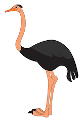 Image showing A black-colored cartoon ostrich vector or color illustration