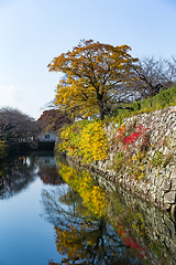 Image showing Himeji castle at autumn