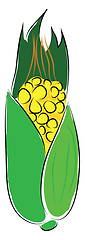 Image showing Simple vector nillustration of yellow corn with green keaf white