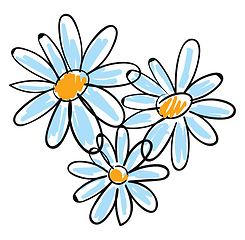 Image showing White chamomile flowers vector illustration on white background.
