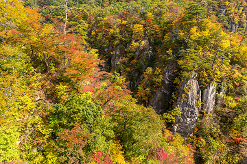 Image showing Naruko Gorge in autumn