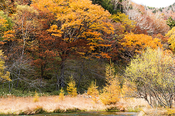 Image showing Beautiful landscape