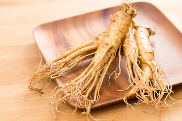 Image showing Fresh korean ginseng