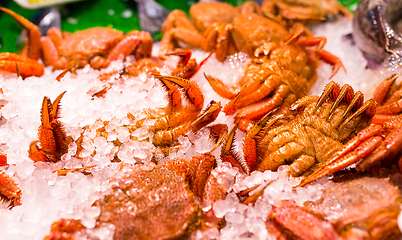 Image showing Iced Crab in market