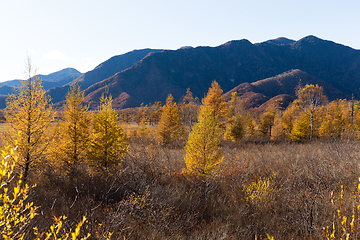 Image showing Senjogahara in Nikko of Japan, Beautiful landscape in Autumn