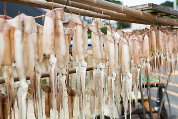 Image showing Squid drying on the hanger