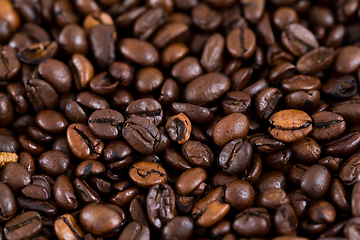 Image showing Coffee bean texture