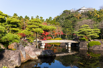 Image showing Autumn Kokoen Garden