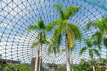 Image showing Green house with pine tree