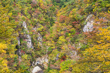 Image showing Naruko Gorge in autumn