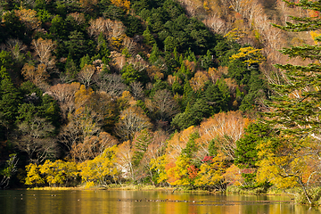 Image showing Lake in autumn