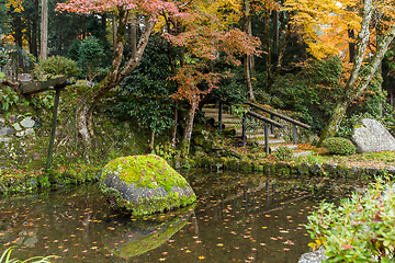 Image showing Beautiful Japanese garden