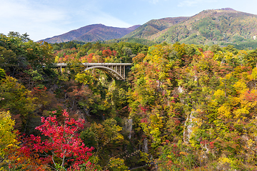 Image showing Ofukazawa Bashi bridge crossing a canyon