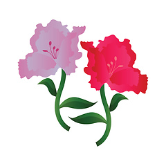 Image showing Vector illustration of lila and pink azalea  flowers on white ba
