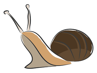 Image showing Simple bown snail vector illustration on white background.