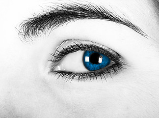 Image showing Blue eyes