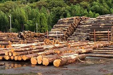 Image showing Wood preparation