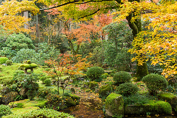 Image showing Japanese park