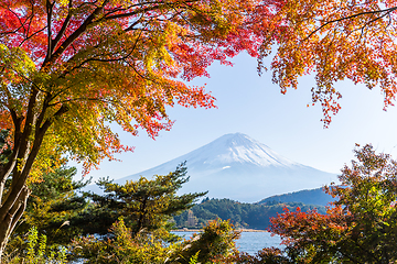 Image showing Mount Fuji in Autumn season