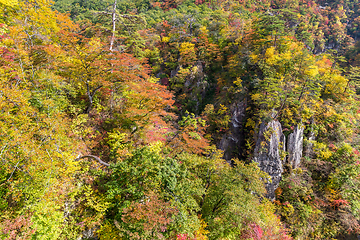 Image showing Naruko canyon of japan