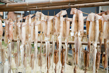 Image showing Squid hanging on the stand