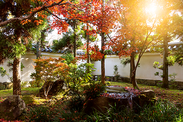 Image showing Kokoen Garden with sun beam