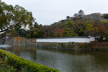 Image showing Japanese Marugame Castle