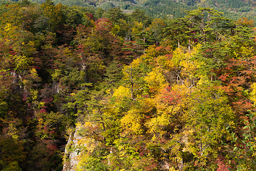 Image showing Autumn Naruko canyon