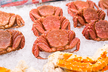 Image showing Hairy crab