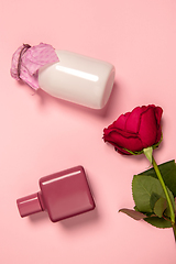 Image showing Cosmetics, fashion. Monochrome stylish composition in pink color. Top view, flat lay.