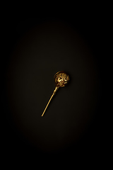 Image showing Golden candy on a black background, stylish minimalistic composition with copyspace