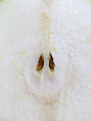 Image showing Slice with pear seeds